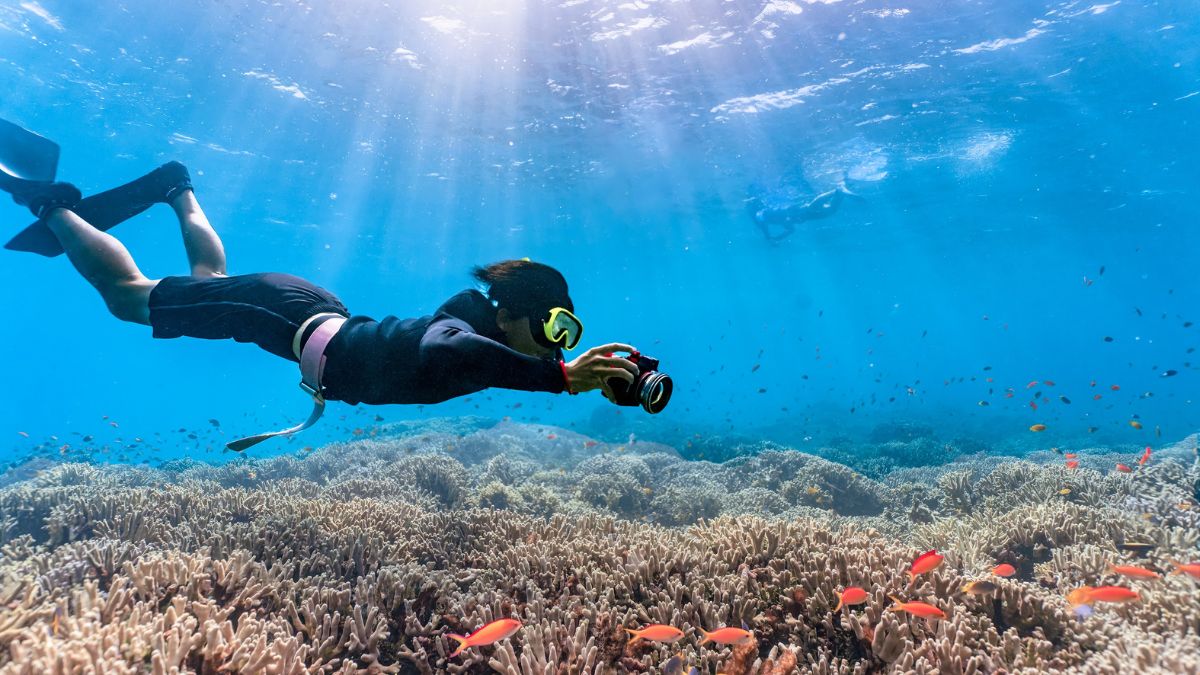 Buceo en Bali